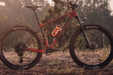 Side profile of a mountain bike