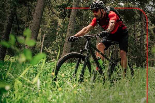 A mountain biker riding through a forest