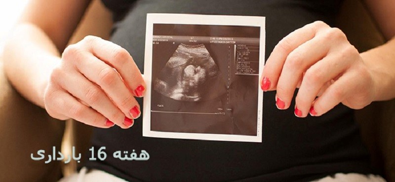 سونوگرافی در هفته شانزدهم بارداری