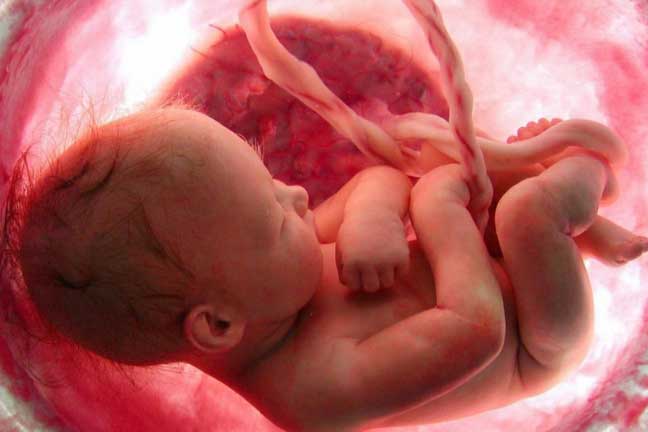سونوگرافی جنین در هفته سی و پنجم بارداری چگونه است؟